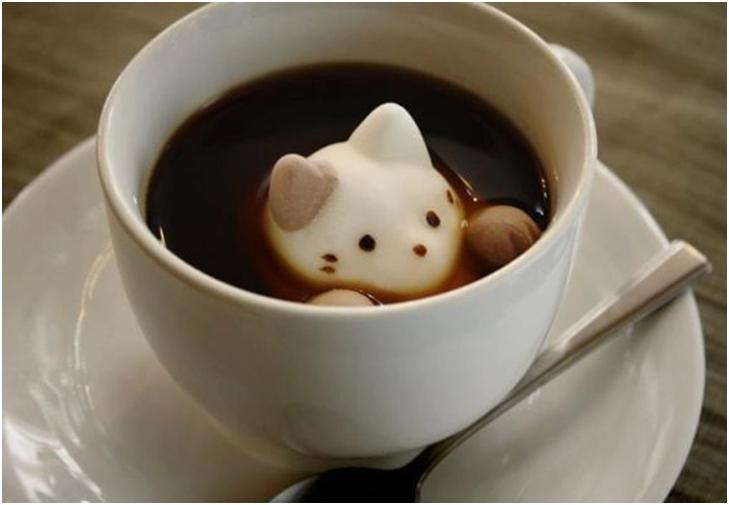 최신 일본에서 유행하는 고양이 마시멜로우 라떼아트