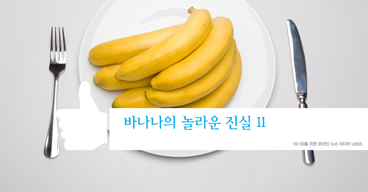 바나나의 놀라운 진실 11