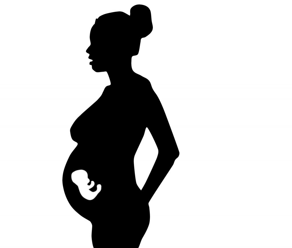 pregnant-woman-1741636_1920