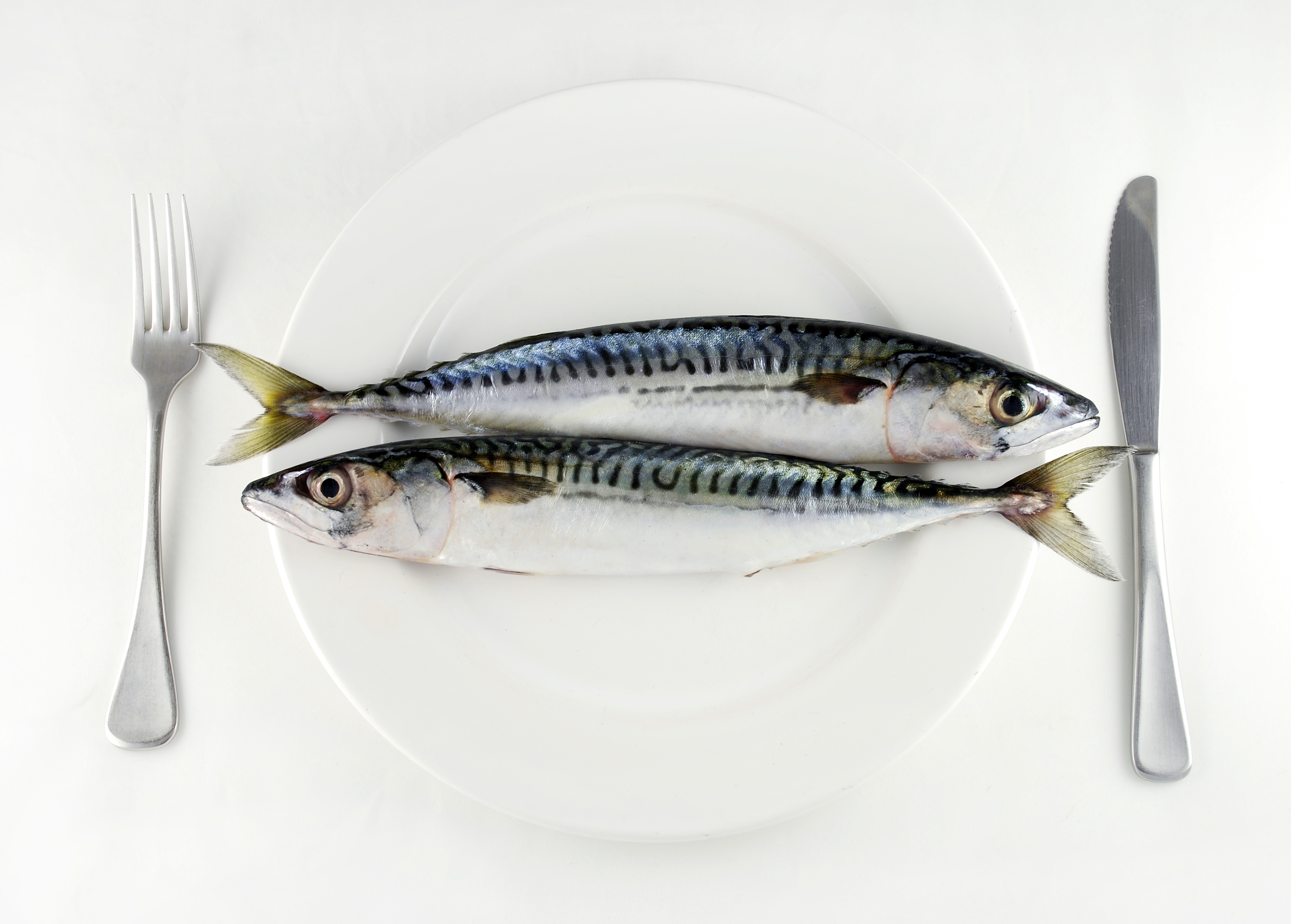 two mackerel on a white plate with knife and fork