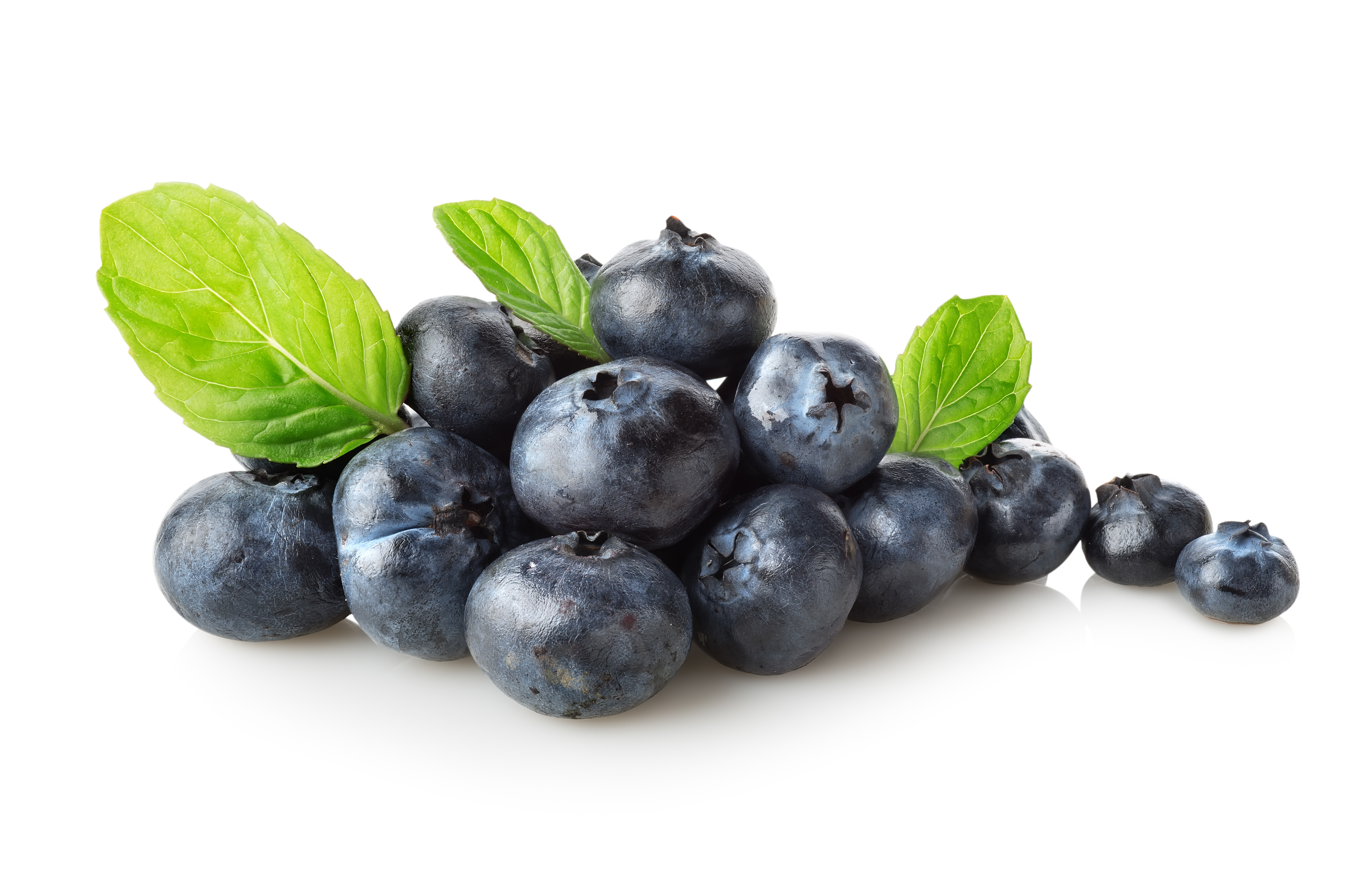 Useful blueberries isolated on a white background